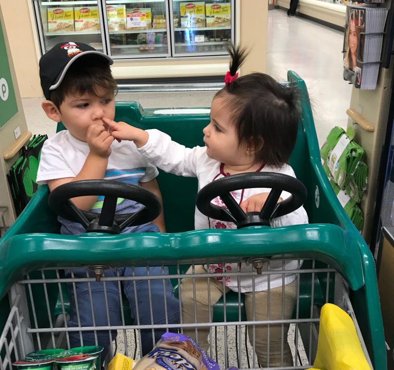two under two grocery struggles