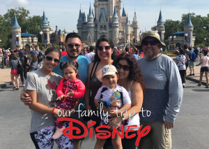 Read more about the article A Day at Disney World With Toddlers