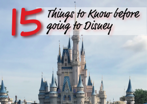 Read more about the article 15 Helpful Things To Know Before Your Trip To Disney World