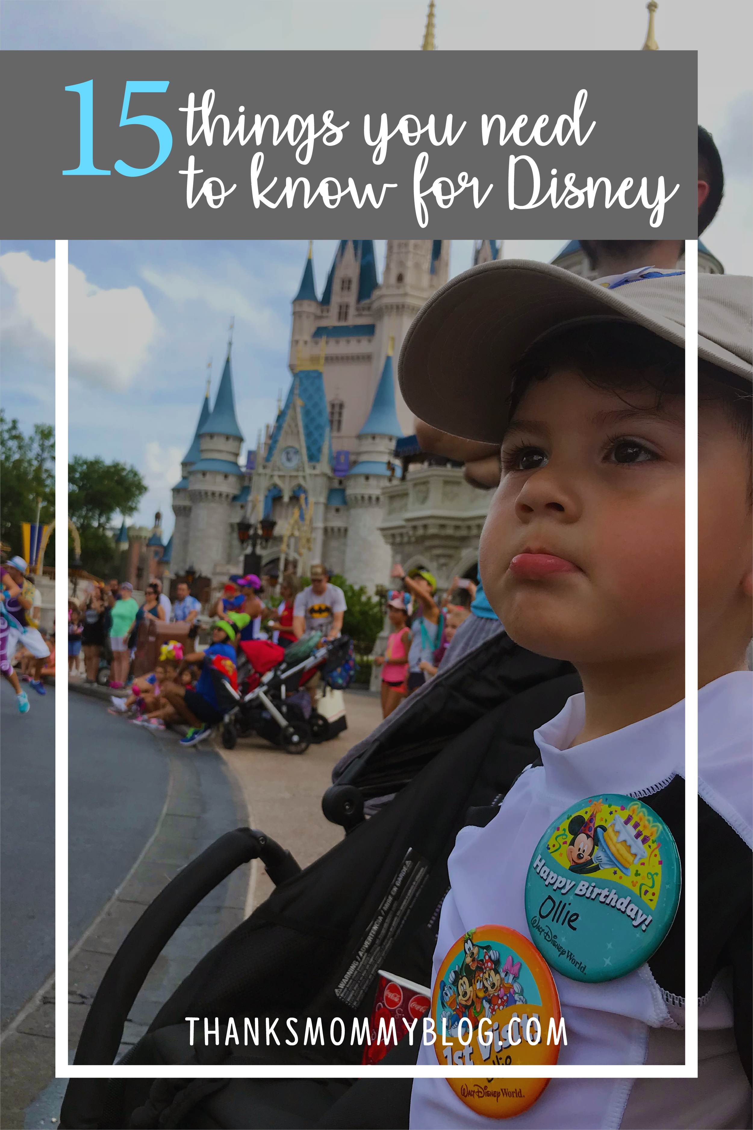 15 Things You Need to Know for Disney
