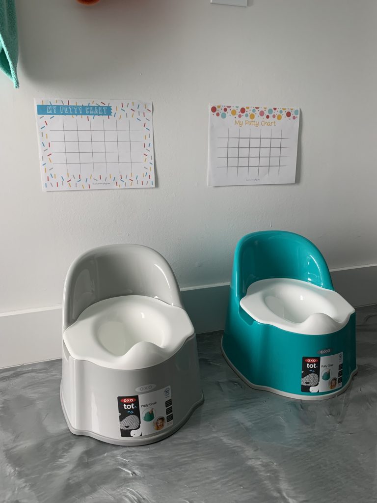 Potty Training Struggles and Tips + Free Printable
